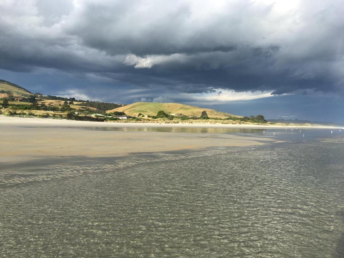 Stay In School By The Sea Dunedin Ngoại thất bức ảnh